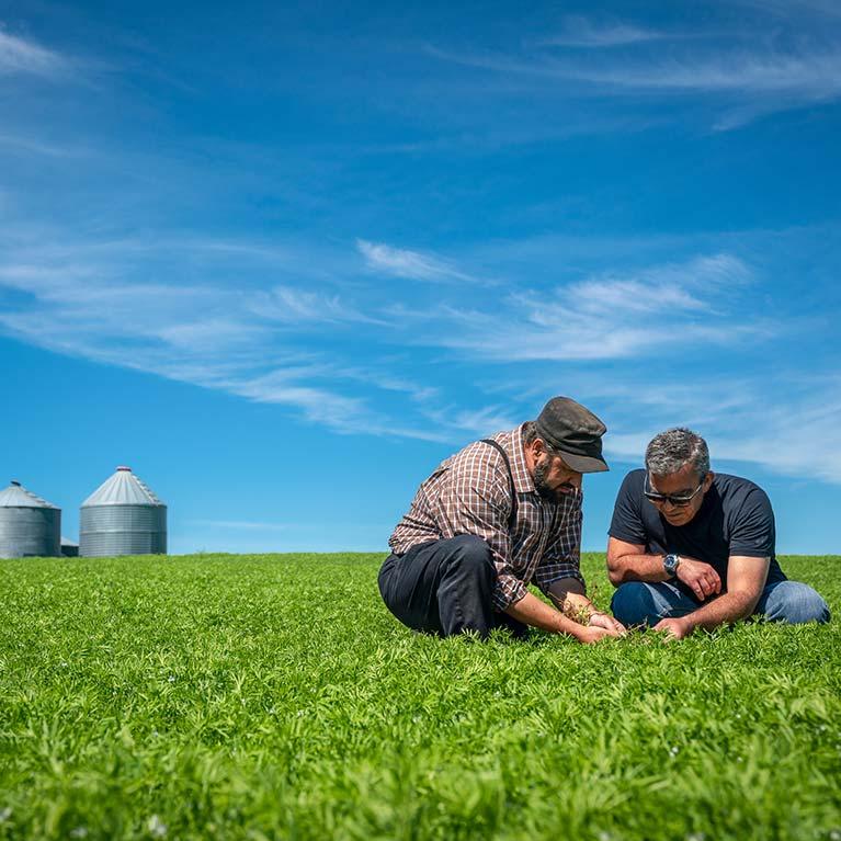 Team member in a field