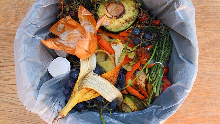 Inside of a wastebin