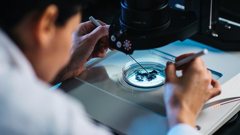 Team member looking at roots in a microscope