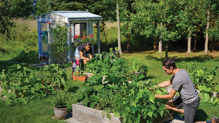 People in a garden