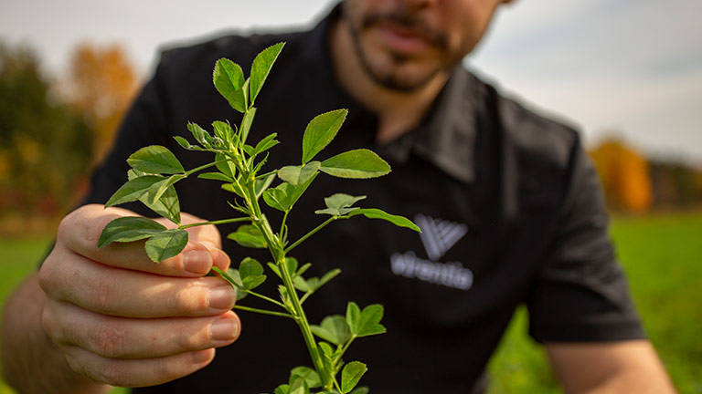 man holding a plant