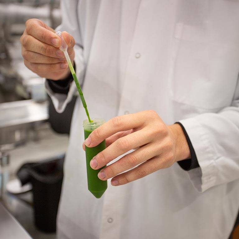 A team member holding a pipette