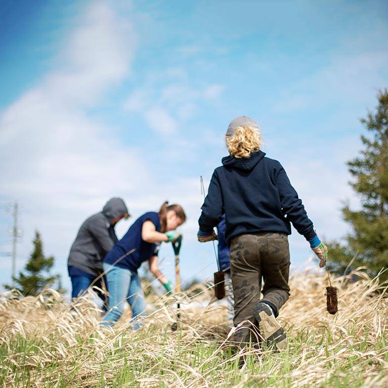 People planting trees