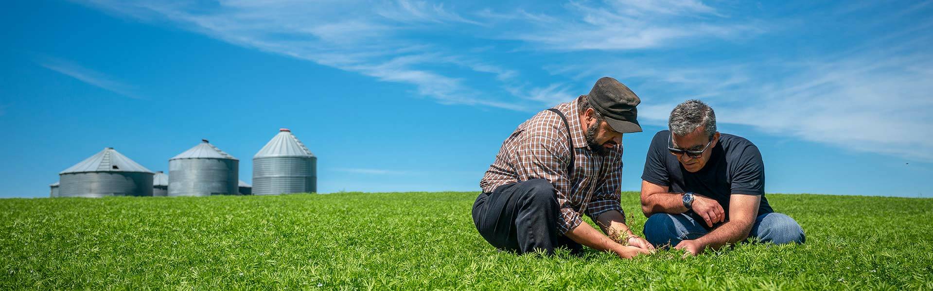 Team member in a field