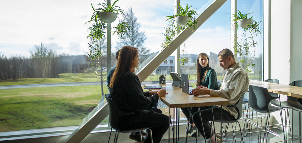 Four team members in a meeting