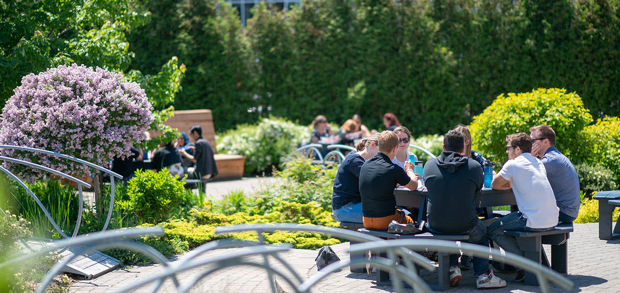 Team members dining in the gardens at Premier Tech