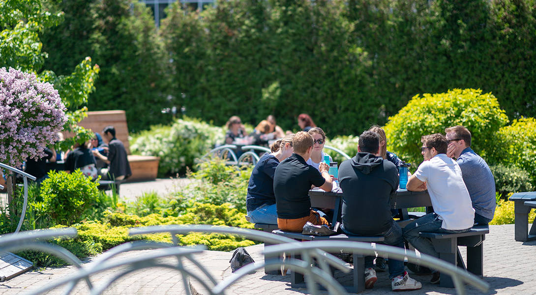 Team members dining in the gardens at Premier Tech