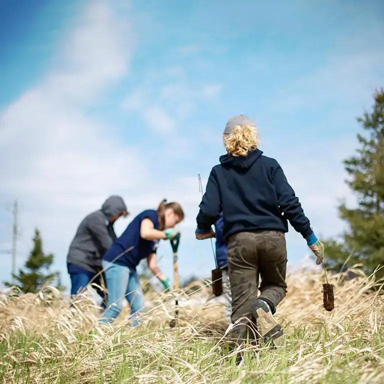 People planting trees