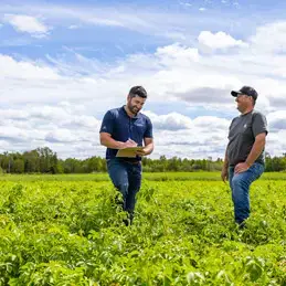 Team member in a field
