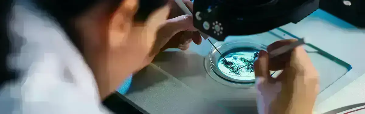 Équipiers regardant des racines dans un microscope
