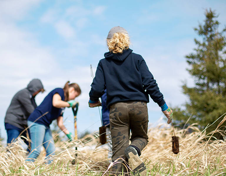 People planting trees