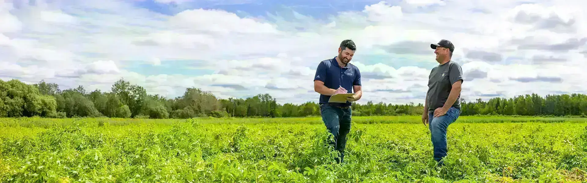 Équipiers dans un champs