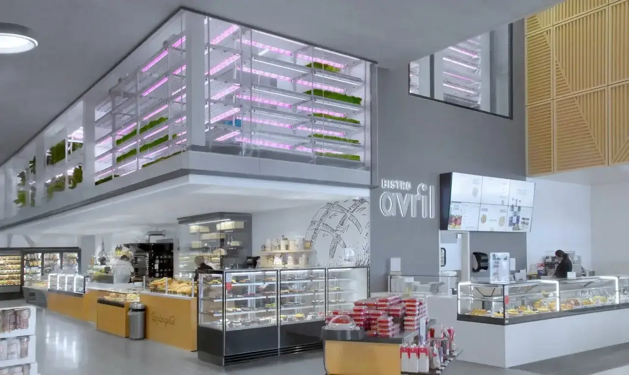 Growing microgreens at Avril Supermarché Santé